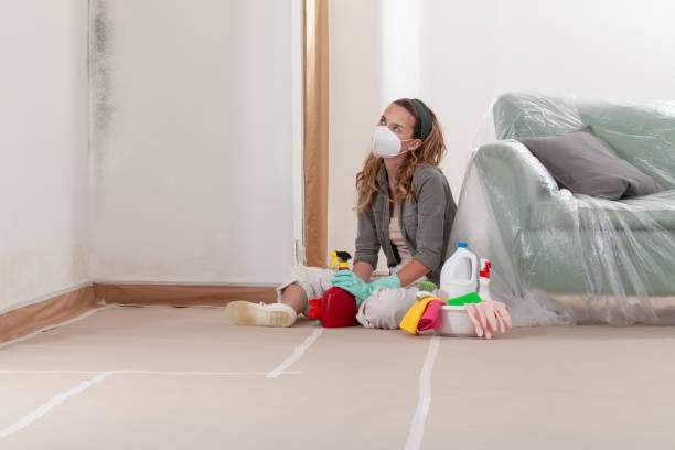 Reliable Mold Removal contractor in Clarksburg, MD by Mold Remediation HQ